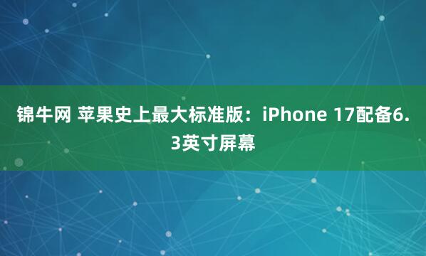 锦牛网 苹果史上最大标准版：iPhone 17配备6.3英寸屏幕