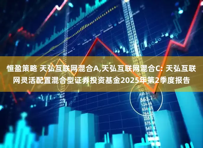 恒盈策略 天弘互联网混合A,天弘互联网混合C: 天弘互联网灵活配置混合型证券投资基金2025年第2季度报告