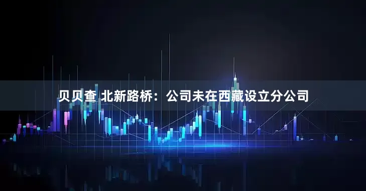 贝贝查 北新路桥：公司未在西藏设立分公司